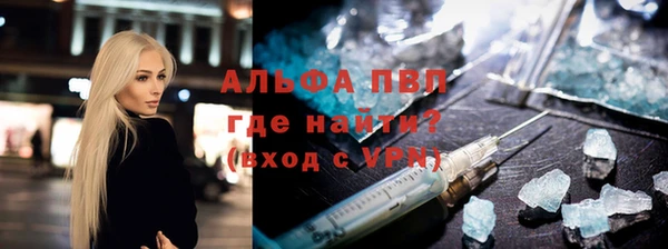 индика Баксан