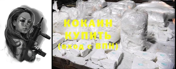 индика Баксан