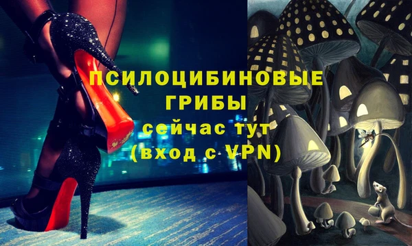apvp Балахна