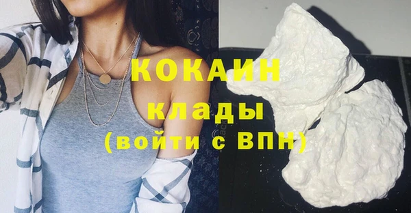 индика Баксан